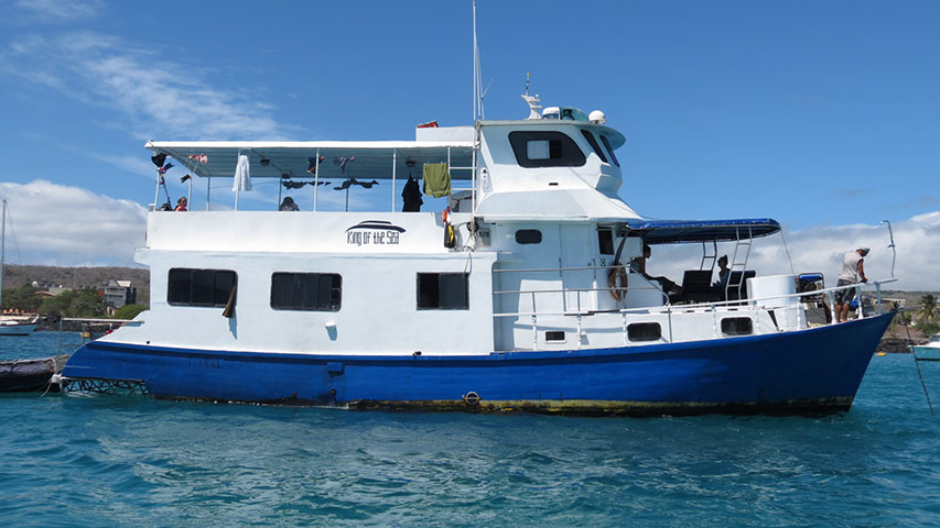 King of the Seas